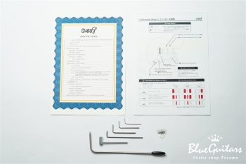 Supreme Collection Trailbreaker Mark- I Ash Body - Butter Scotch #24084