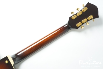 Ladybug SM-C HB  - TSB #RZ0803