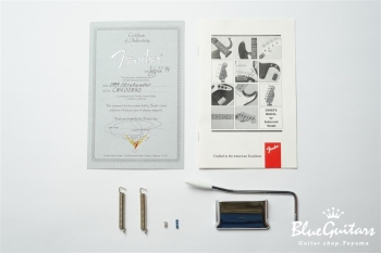 1954 Stratocaster - Aztec Gold