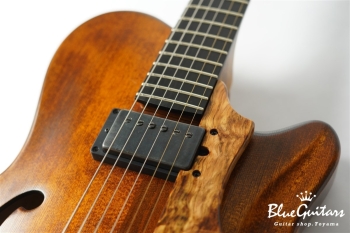 Arcus Archtop - Organic Texture