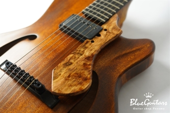 Arcus Archtop - Organic Texture