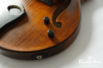 Arcus Archtop - Organic Texture