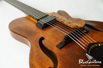 Arcus Archtop - Organic Texture