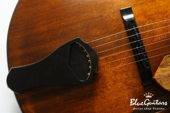 Arcus Archtop - Organic Texture