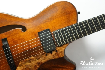 Arcus Archtop - Organic Texture