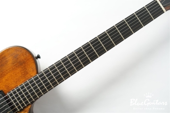 Arcus Archtop - Organic Texture