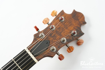 Arcus Archtop - Organic Texture