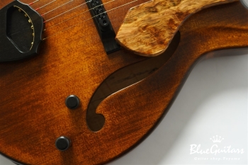 Arcus Archtop - Organic Texture