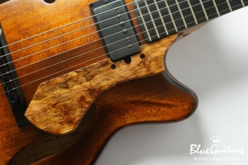 Arcus Archtop - Organic Texture