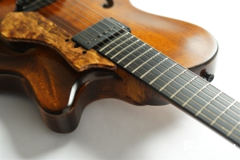 Arcus Archtop - Organic Texture