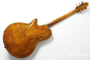 Arcus Archtop - Organic Texture