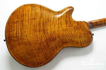 Arcus Archtop - Organic Texture