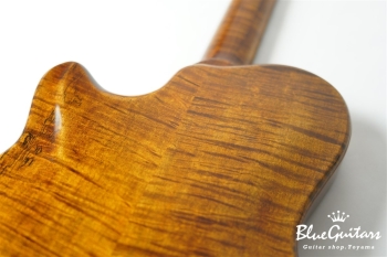 Arcus Archtop - Organic Texture