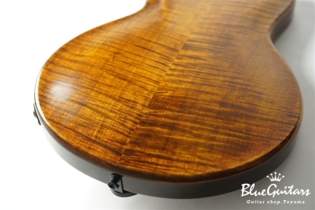 Arcus Archtop - Organic Texture