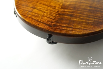 Arcus Archtop - Organic Texture