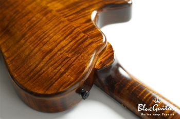 Arcus Archtop - Organic Texture