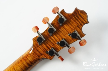 Arcus Archtop - Organic Texture