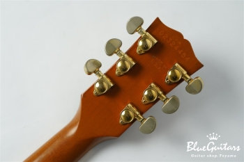 Les Paul Standard DC Plus - Trans Amber