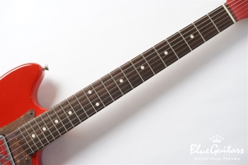 IRIS #172 Medium Aged - Fiesta Red with Copper Red