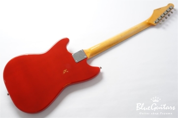 IRIS #172 Medium Aged - Fiesta Red with Copper Red