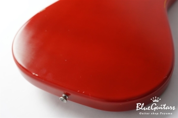 IRIS #172 Medium Aged - Fiesta Red with Copper Red