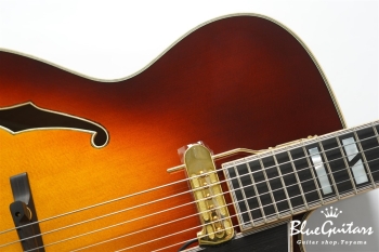 DA-17 Model - Sunburst