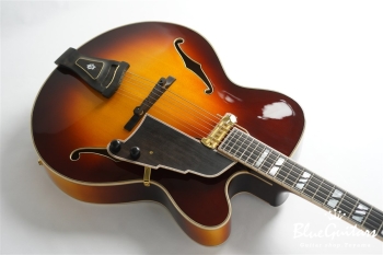 DA-17 Model - Sunburst
