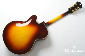 DA-17 Model - Sunburst