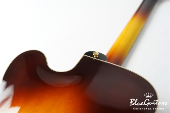 DA-17 Model - Sunburst