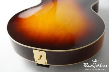 DA-17 Model - Sunburst