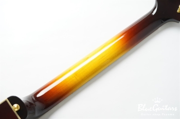 DA-17 Model - Sunburst