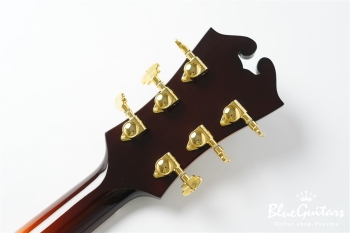 DA-17 Model - Sunburst