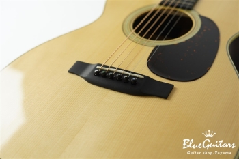 00-28B Brazilian Rosewood / Adirondack Spruce