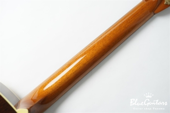 00-28B Brazilian Rosewood / Adirondack Spruce