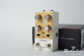 Antique V3 Kazuki Isogai