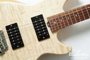 Amnis Novus Shibasaki Hiroshi Specs