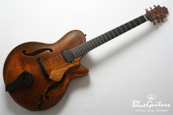 Arcus Archtop - Organic Texture