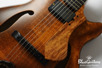 Arcus Archtop - Organic Texture