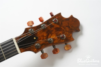 Arcus Archtop - Organic Texture