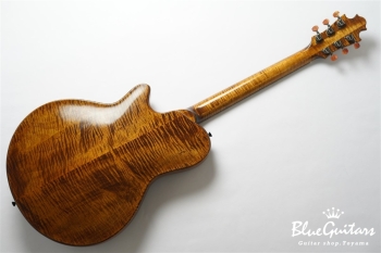 Arcus Archtop - Organic Texture