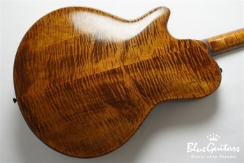 Arcus Archtop - Organic Texture