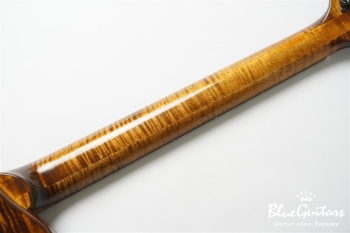 Arcus Archtop - Organic Texture