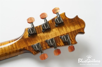 Arcus Archtop - Organic Texture