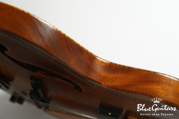 Arcus Archtop - Organic Texture