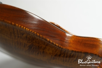 Arcus Archtop - Organic Texture