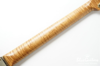 XSC-2 Black over 3 Tone Burst Heavy Aged / Alder / 5A Roasted Flame Maple #3905