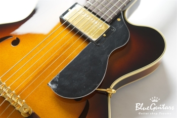 Ladybug SM-TBC HB - Vintage Sunburst #RZ0852