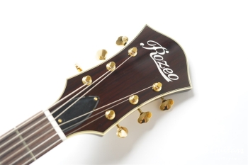 Ladybug SM-TBC HB - Vintage Sunburst #RZ0852