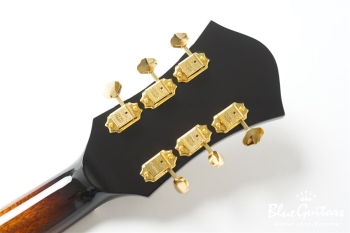 Ladybug SM-TBC HB - Vintage Sunburst #RZ0852