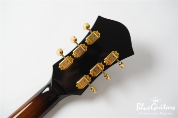 Ladybug SM-C HB - Vintage Sunburst